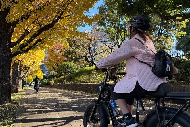 Tokyo Top Highlights 3h Guided E-bike Tour - Tokyo Bay Sunset and Night Route: bridges, lights, and Odaiba