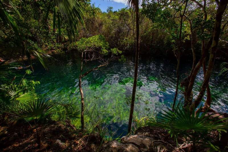 Tulum: Cenote Trail Bike Tour - Guides Who Add More Than Directions