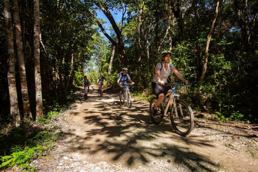 Tulum: Cenote Trail Bike Tour - Heat, Terrain, and Physical Demands