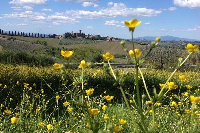 Tuscany Bike Tours Through the Chianti Hills with Wine Tasting - Regular bike or e-bike?