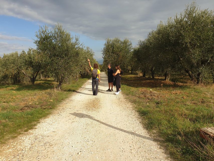 Tuscany Hills Bike Tour with Lunch at farm and Wine Tasting - Who should book this ride?