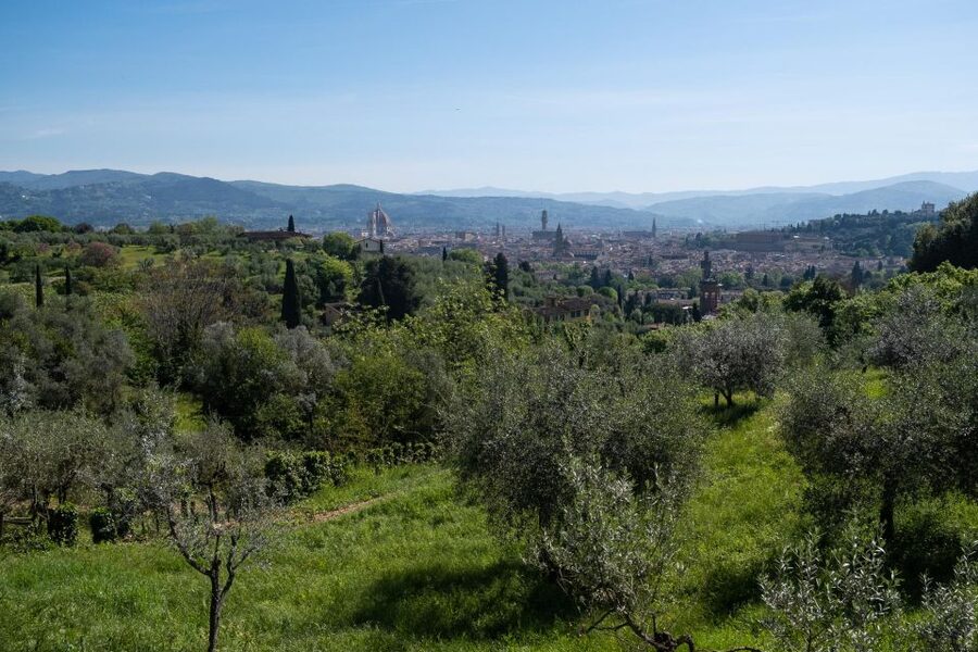 Tuscany Hills Bike Tour with Lunch at farm and Wine Tasting - Riding the Chianti Classico roads
