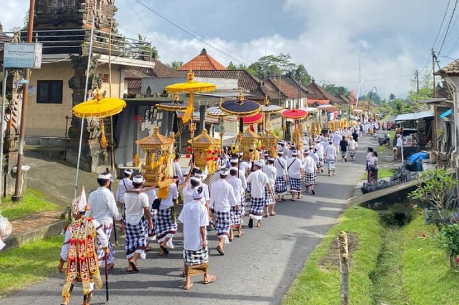 Ubud: Downhill Cycling with Volcano, Rice Terraces and Meal - Who will enjoy this tour most