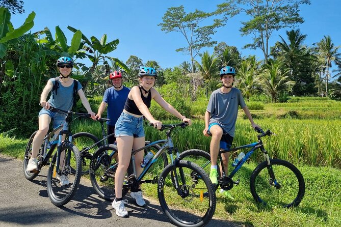 Ubud: Downhill Cycling with Volcano, Rice Terraces, and Meal - Starting near South Batur with Mount Batur in view