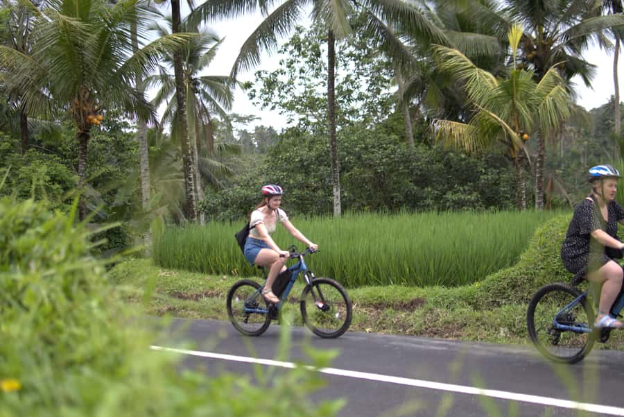Ubud: E-Bike Tour with Rice Terrace and Village Visit - Rice terraces and the subak irrigation system