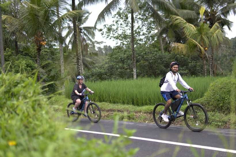 Ubud: E-Bike Tour with Rice Terrace and Village Visit - Coffee and tea tasting: worth adding?