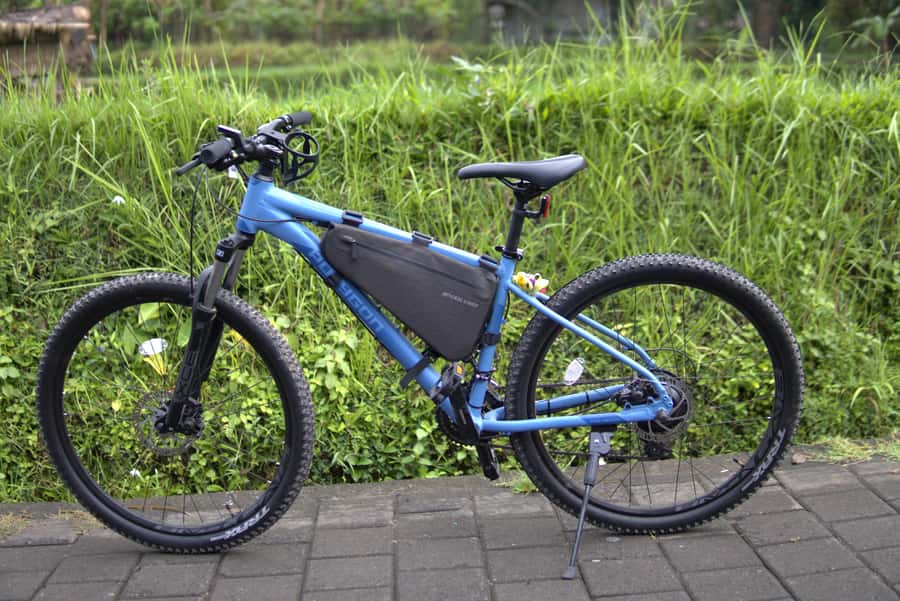 Ubud: E-Bike Tour with Rice Terrace and Village Visit - Riding on public roads: the main drawback
