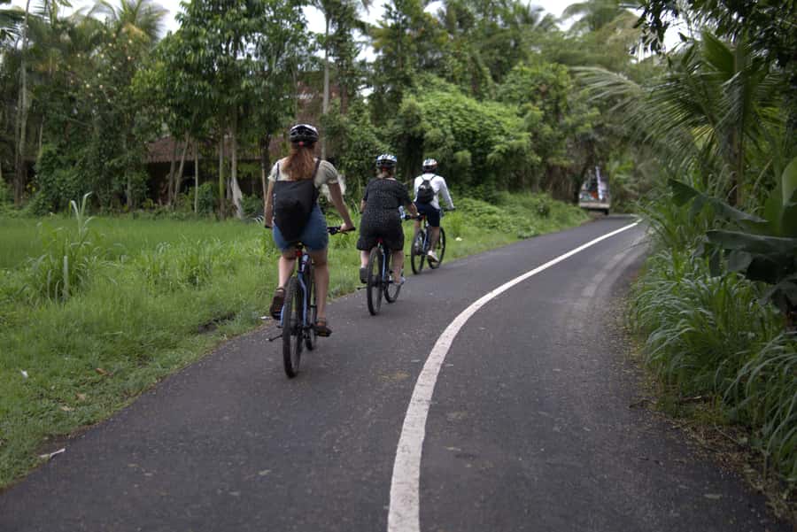 Ubud: E-Bike Tour with Rice Terrace and Village Visit - The electric bike makes the hills manageable