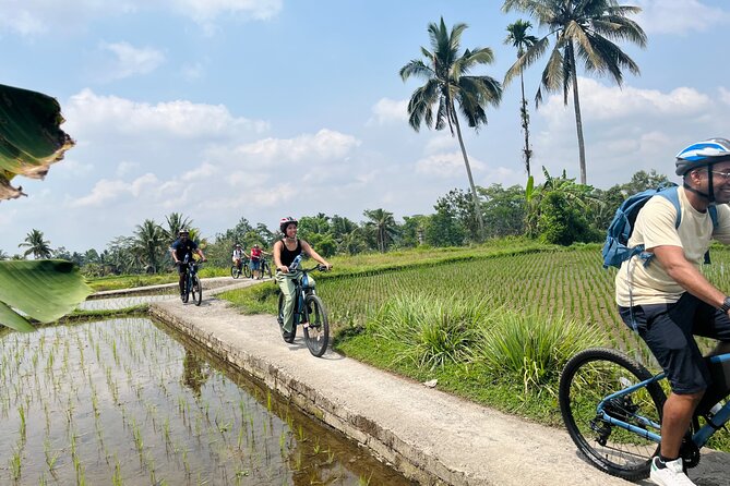 Ubud eBikes Tour to Tegallalang Rice Terrace - Inside a traditional Balinese family compound