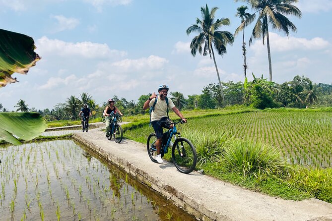 Ubud eBikes Tour to Tegallalang Rice Terrace - Temple stops and Balinese Hindu culture