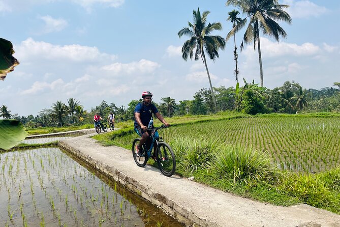 Ubud eBikes Tour to Tegallalang Rice Terrace - What the ride feels like for different ages and abilities