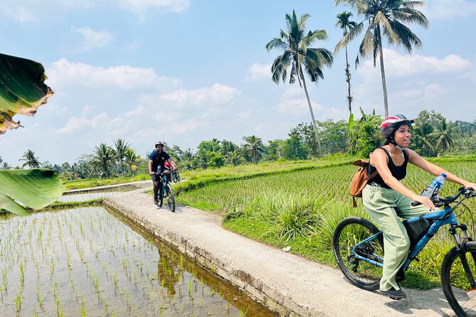 Ubud eBikes Tour to Tegallalang Rice Terrace - Pedaling through Petulu and the countryside