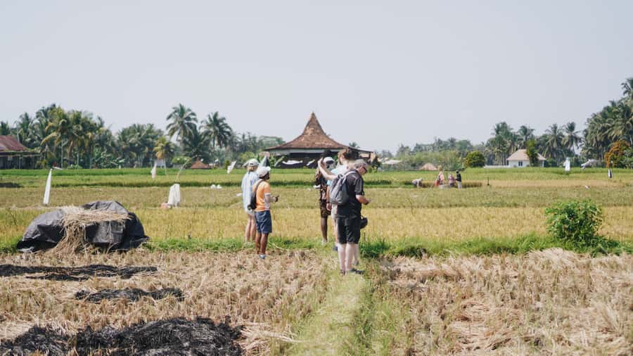 Ubud: Rice Terraces & Villages Half-Day Fat Tire E-Bike Tour - Key points to know before booking