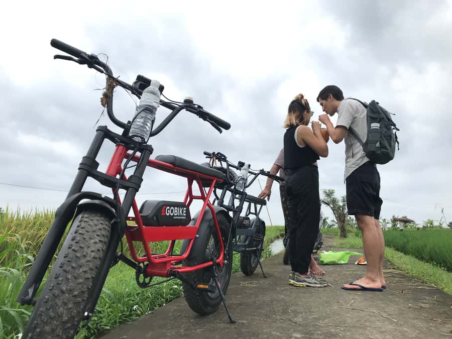 Ubud: Rice Terraces & Villages Half-Day Fat Tire E-Bike Tour - Who should book this ride?