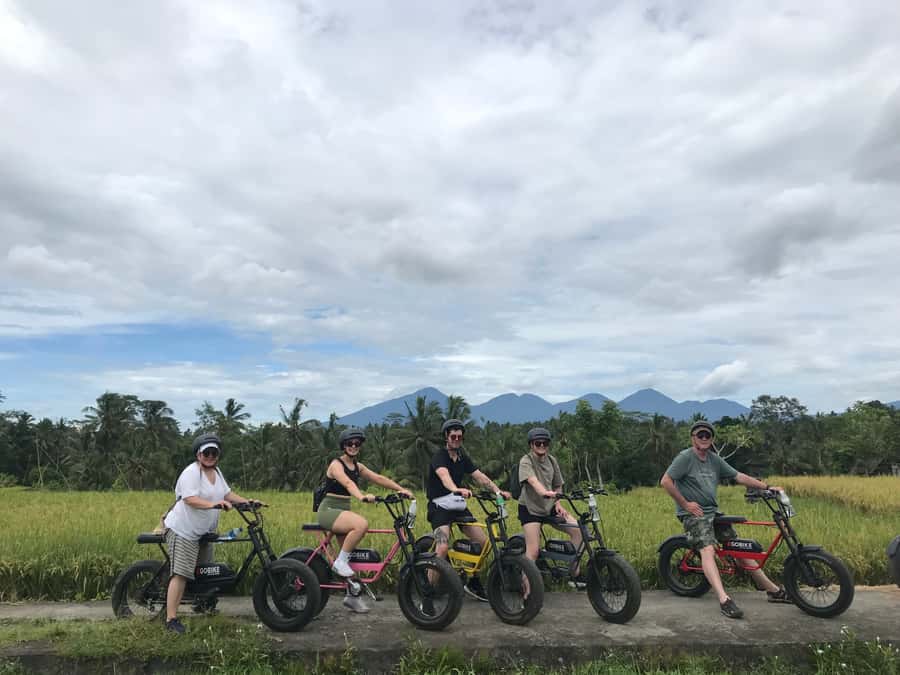 Ubud: Rice Terraces & Villages Half-Day Fat Tire E-Bike Tour - Riding through Jalan Cinta and the rice fields