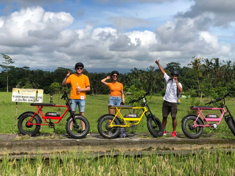 Ubud: Rice Terraces & Villages Half-Day Fat Tire E-Bike Tour - Tegalalang village and the daily rhythm of Bali