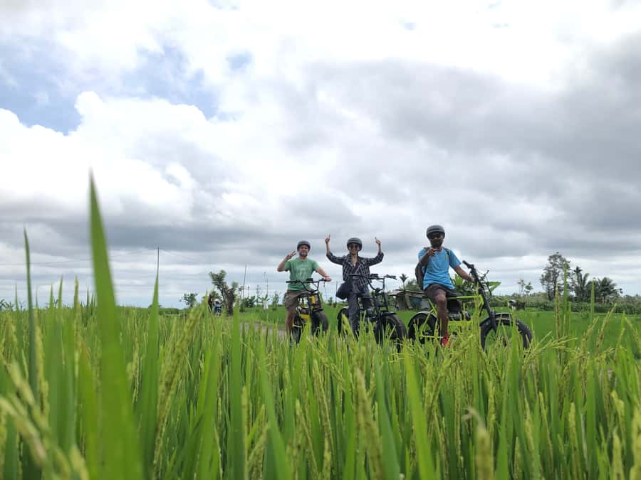 Ubud: Rice Terraces & Villages Half-Day Fat Tire E-Bike Tour - Ceking Rice Terrace and the subak system