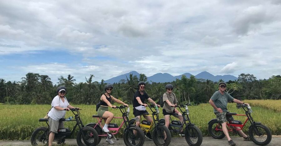 Ubud: Rice Terraces & Villages Half-Day Fat Tire E-Bike Tour - Temples, village lanes, and the short town section