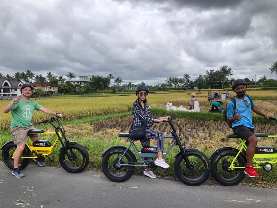 Ubud: Rice Terraces & Villages Half-Day Fat Tire E-Bike Tour - The Balinese lunch that closes the tour