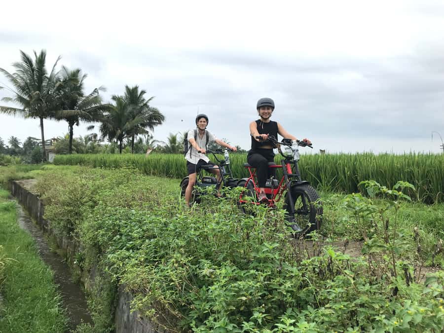 Ubud: Rice Terraces & Villages Half-Day Fat Tire E-Bike Tour - What $33 buys you