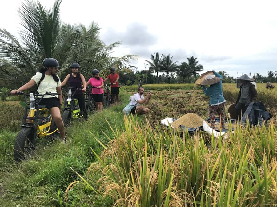 Ubud: Rice Terraces & Villages Half-Day Fat Tire E-Bike Tour - Hotel pickup and the ride to the starting point