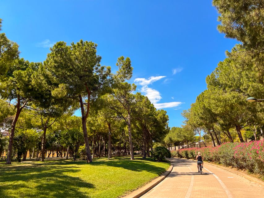 Valencia Bike Tours: City Highlights - Turia Gardens: Valencia’s Calm Cycling Corridor