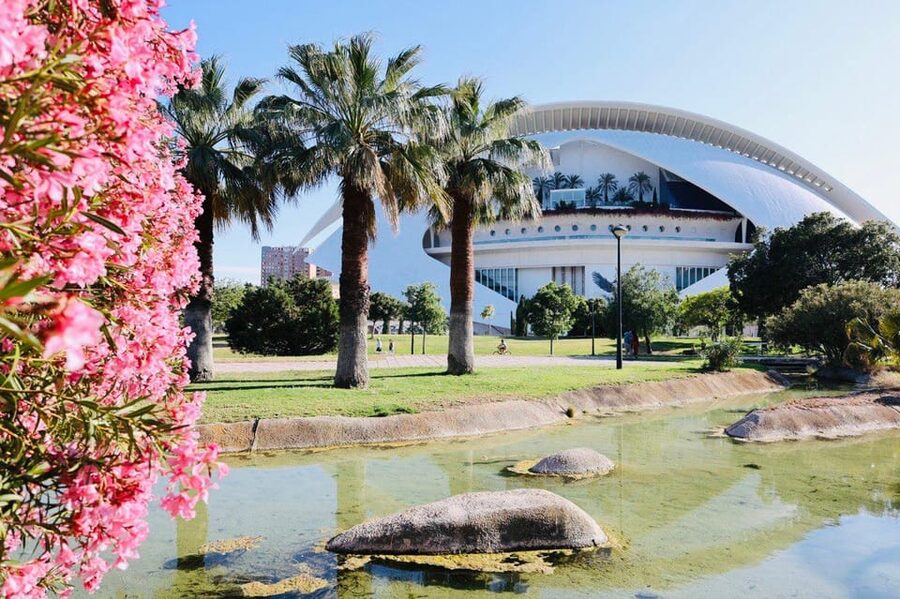 Valencia: Top 25 Highlights Guided Bike Tour - Mercado Central, Lonja de la Seda, and the old center