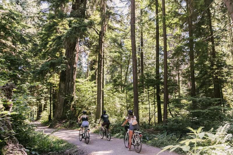 Vancouver: Guided Bike Tour - Stanley Park, from English Bay to Beaver Lake