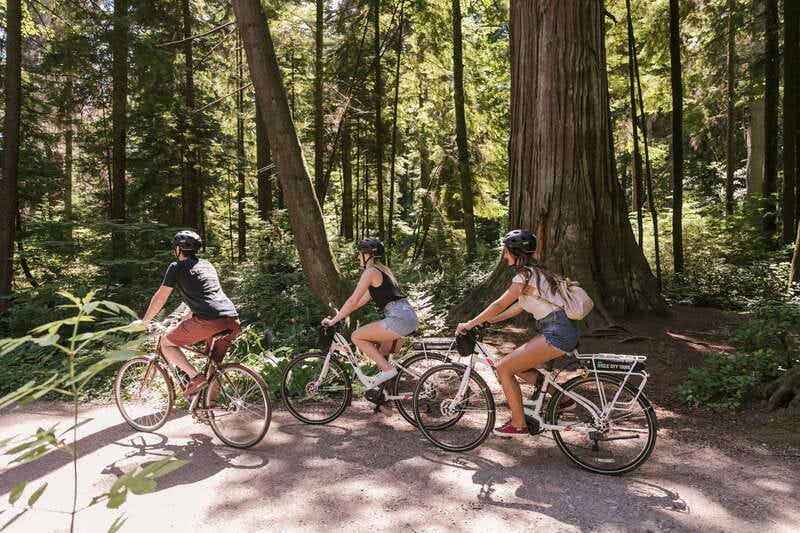 Vancouver: Half-Day City Highlights E-Bike Tour Age 16+ - Quick reasons to consider this Vancouver e-bike tour