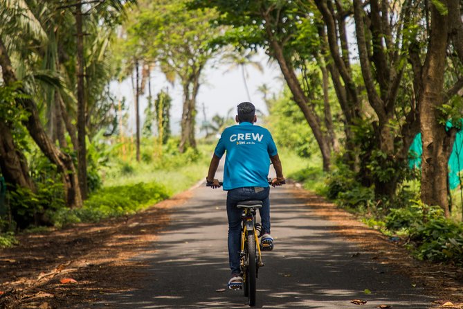 Varca Coastal E-Bike Tour: Scenic Beachside Adventure - What the Varca ride is really about