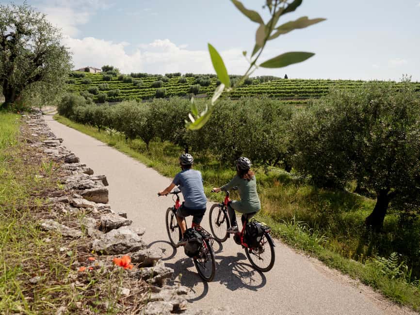 Verona: Valpolicella Wine Self-Guided E-Bike Tour & Tastings - Farina Winery And The Amarone Tasting
