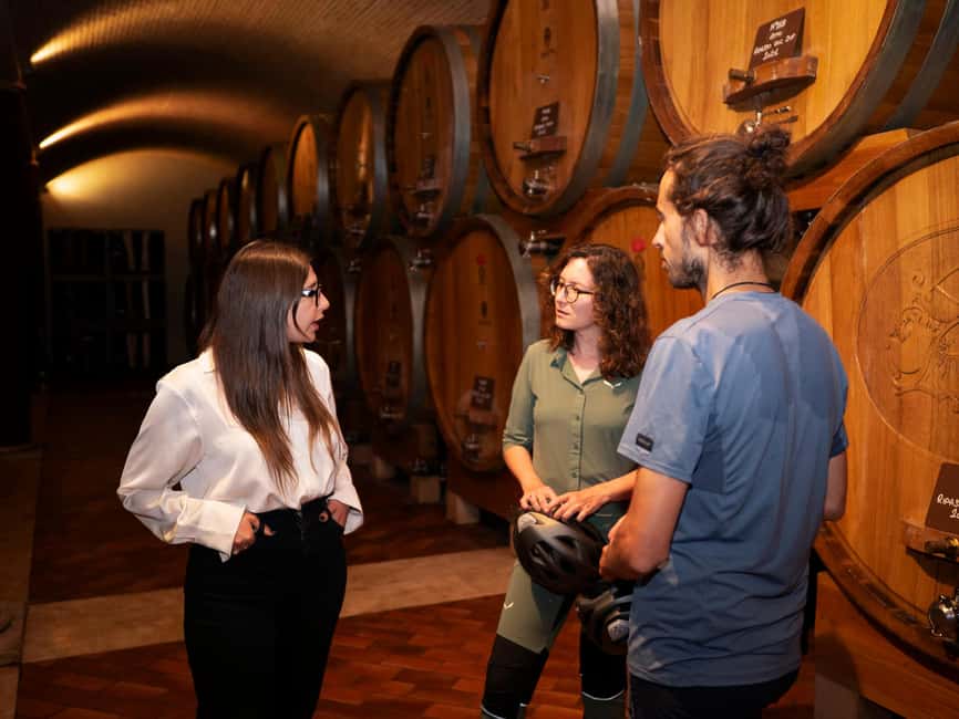 Verona: Valpolicella Wine Self-Guided E-Bike Tour & Tastings - Who Will Enjoy This Most?