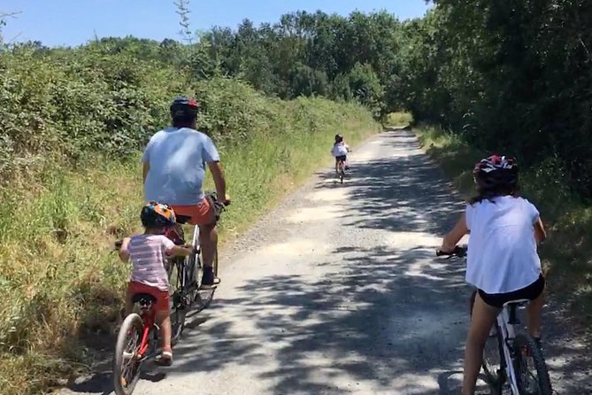 Vineyard cycle tours in and around Chinon, in the Loire Valley - The guides make the difference