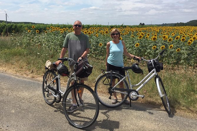 Vineyard cycle tours in and around Chinon, in the Loire Valley - Who will enjoy this Chinon cycling day