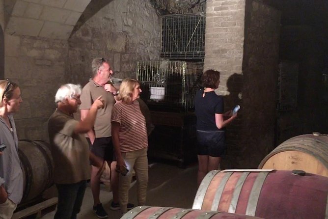 Vineyard cycle tours in and around Chinon, in the Loire Valley - Booking, cancellation, and small practical details