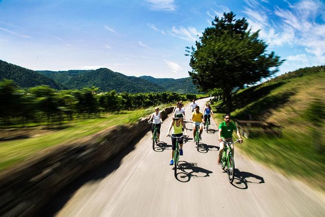 Wachau Valley Wine Tasting Bike Tour from Vienna - Two wineries, two different local stops