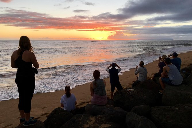 Waimea Canyon Downhill Bike Ride - Kokeʻe State Park and the Na Pali Coast views