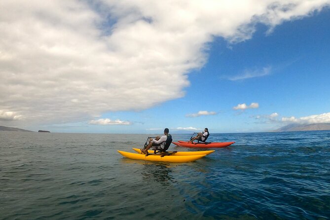 Water Bike Tour in South Maui - Stable bikes make this a good alternative to kayaking