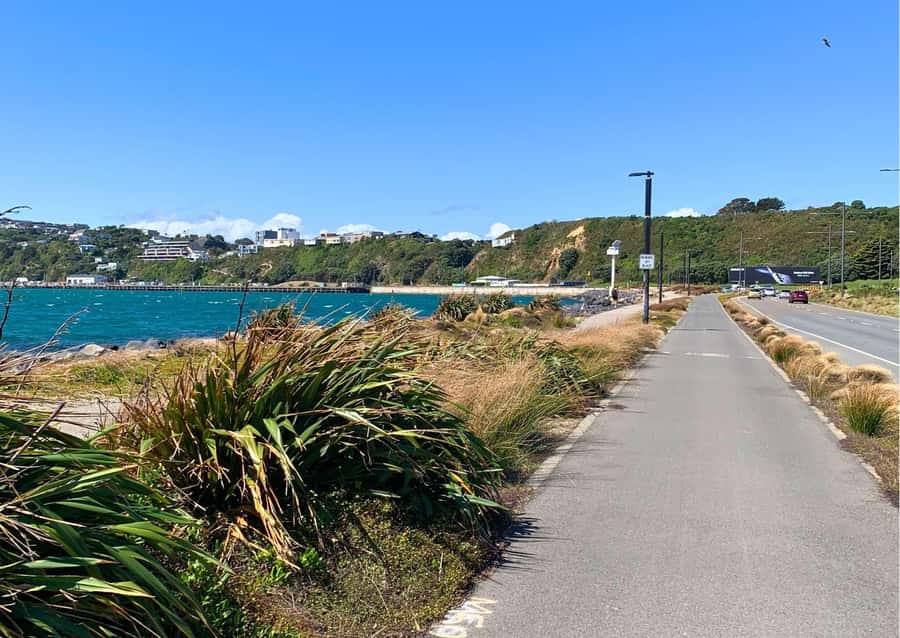 Wellington Electric Bike Rental - Mt Victoria for the big city view