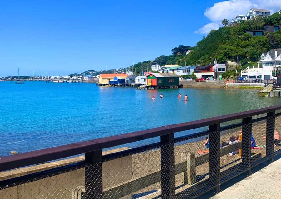Wellington Electric Bike Rental - Pencarrow Lighthouse by ferry