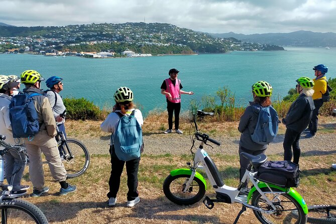 Wellington Guided eBike Tour-Cruise Shore Excursion - Key points before you book