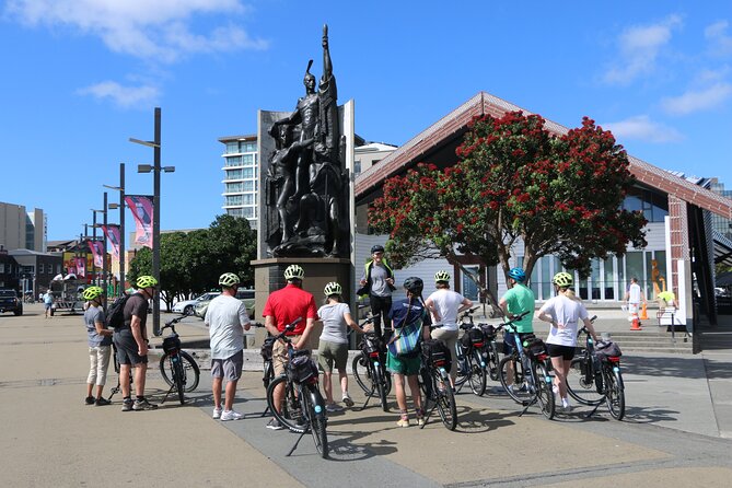 Wellington Guided eBike Tour-Cruise Shore Excursion - Why this is a good way to see Wellington