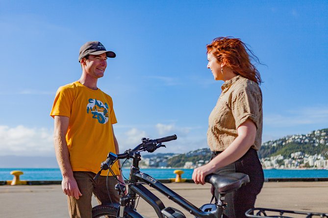Wellington Guided eBike Tour-Cruise Shore Excursion - Kupe Statue and Māori history