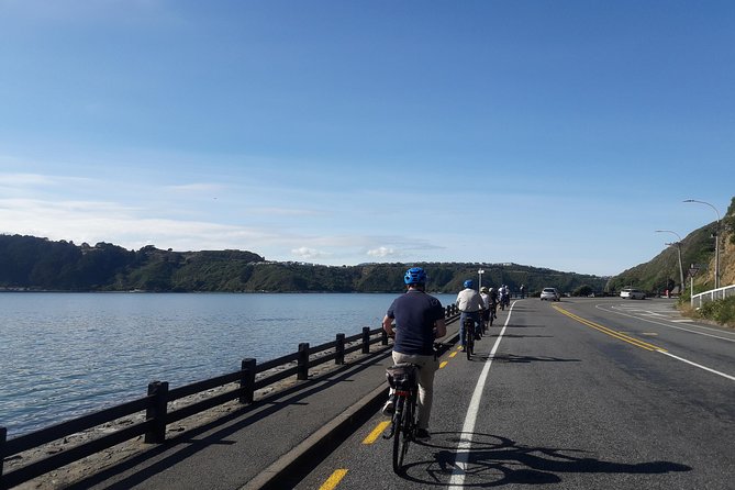 Wellington Guided eBike Tour-Cruise Shore Excursion - Maupuia Hill and the best view of the ride