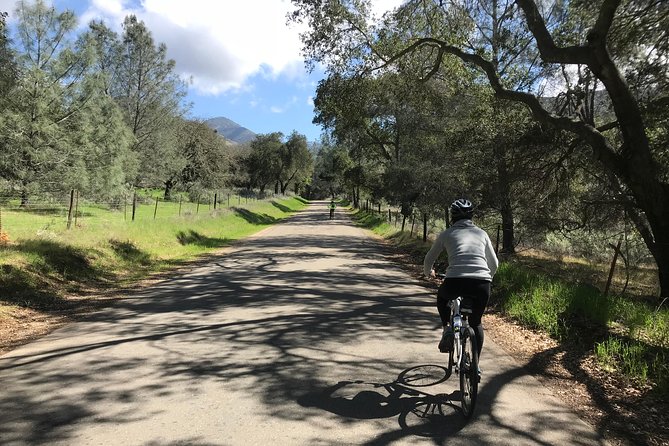 Wine Country Half-Day Bike Tour from Solvang - w/o Lunch - Key Points Before You Book