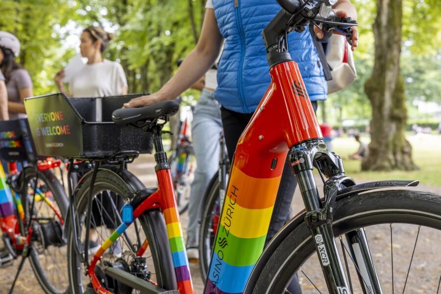 Zurich: E-Bike City Tour - Zürich West: factories turned into city life