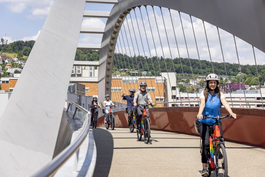 Zurich: E-Bike City Tour - The university district and Grossmünster